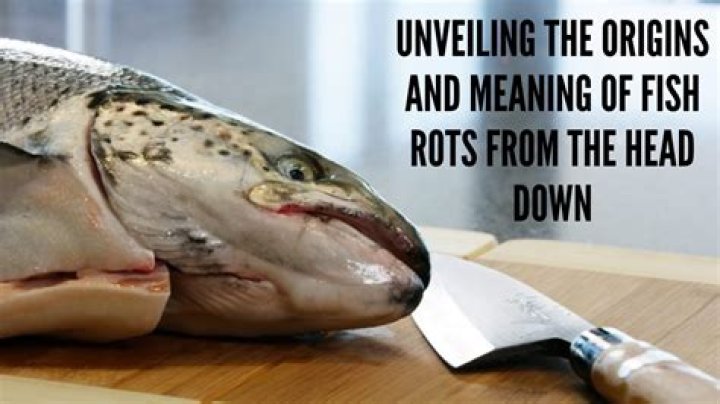 What is the meaning of the fish rots from the head?