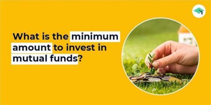 What is the minimum amount to invest in shares?