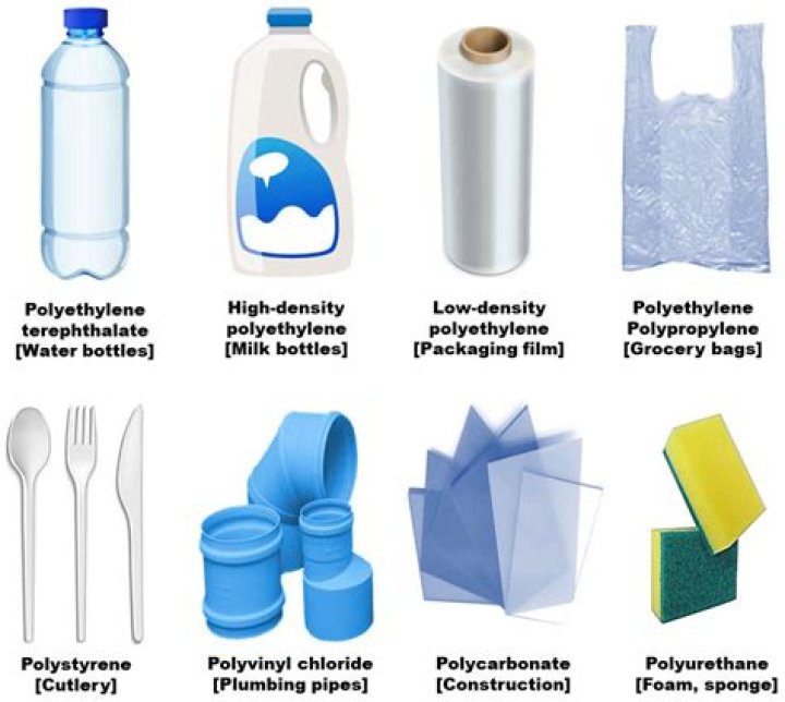 What is the most common plastic money?