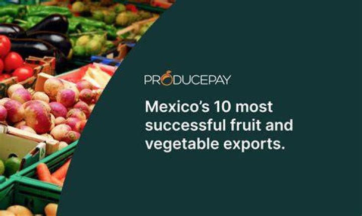 What is the most exported fruit?