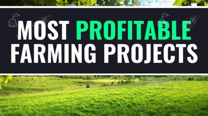 What is the most profitable thing to sell?