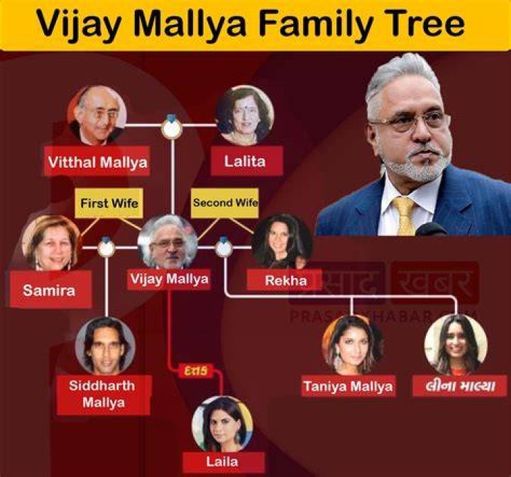 What is the mother tongue of Vijay Mallya?