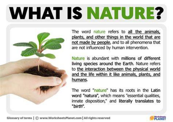 What is the nature of the bank?