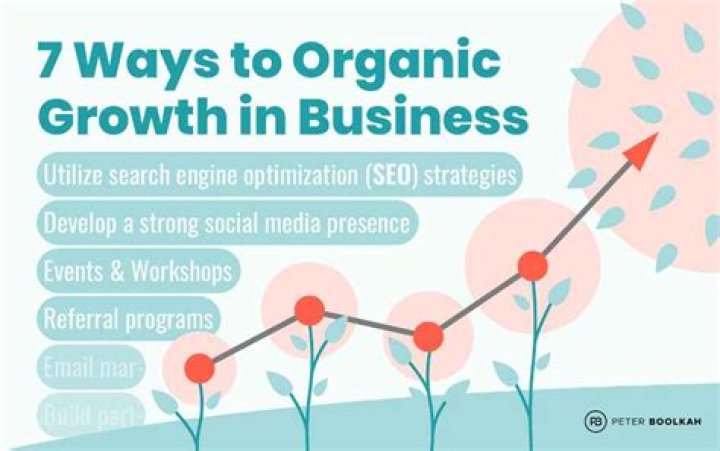 What is the opposite of organic growth in business?