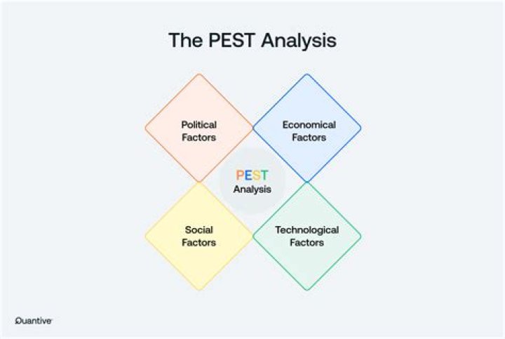 What is the PEST analysis purpose?