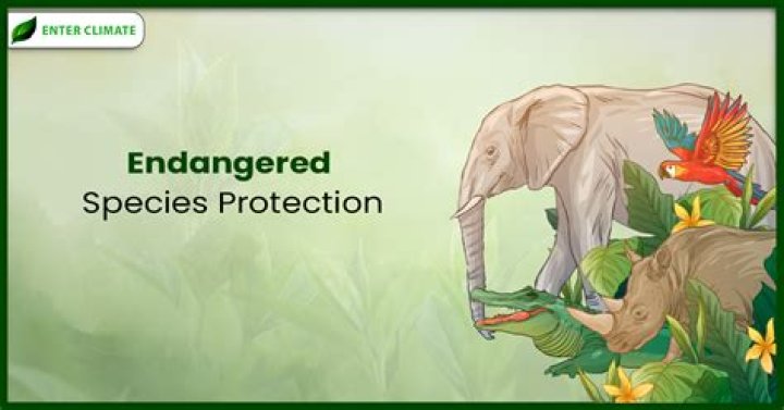 What is the point of saving endangered species?
