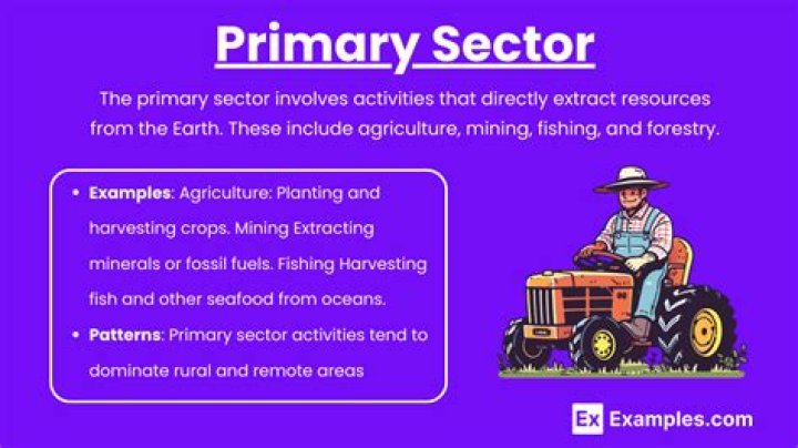 What is the primary sector also called and why?