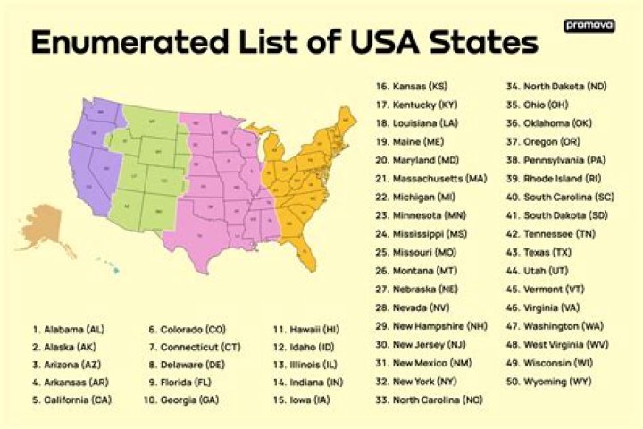 What is the primary standard-setting body in the United States?
