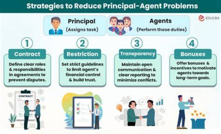 What is the principal agency problem explain?