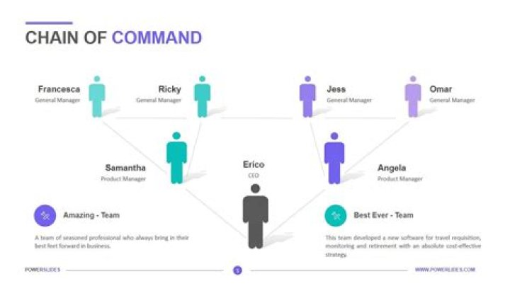 What is the proper chain of command in a business?