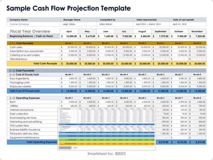 What is the purpose of a cash flow projection?