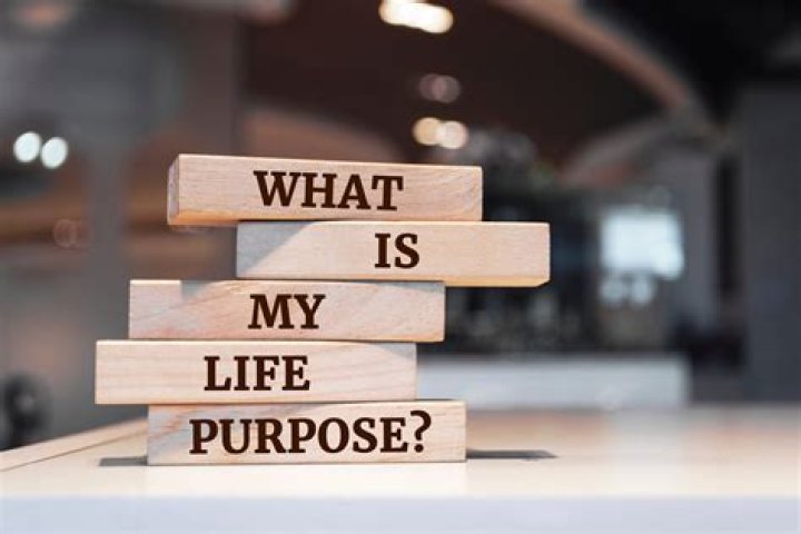 What is the purpose of AMD?