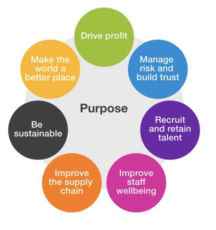 What is the purpose of ERP?