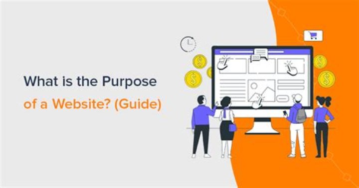 What is the purpose of the government website?
