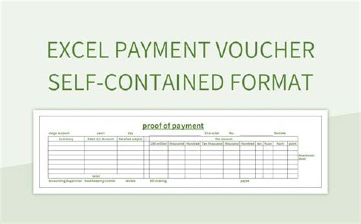 What is the purpose of using a payment voucher in an Organisation?