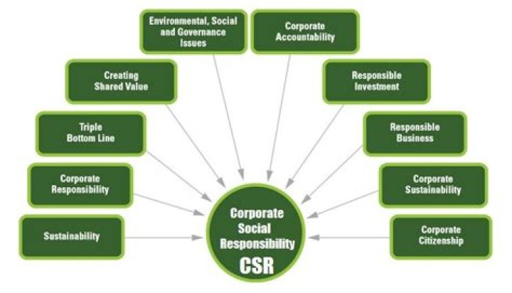 What is the relationship between corporate social responsibility and profit?