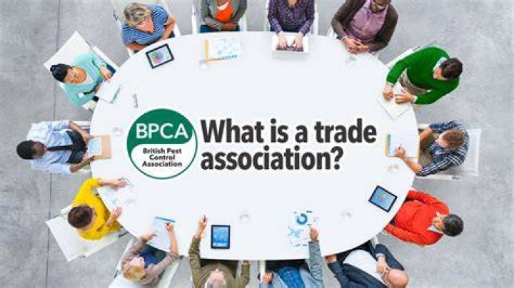 What is the role of a trade association?