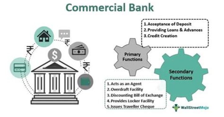 What is the role of commercial bank and financial institutions?