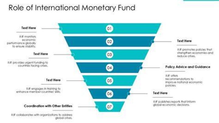 What is the role of International Monetary Fund in globalization?
