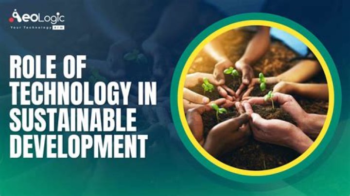 What is the role of sustainability manager?