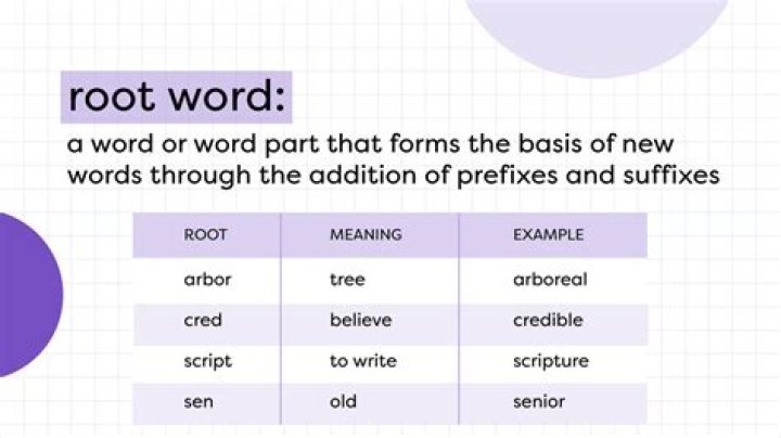 What is the root word for segregation?