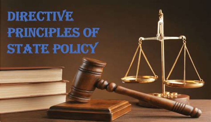 What is the significance of the principles of state policy?