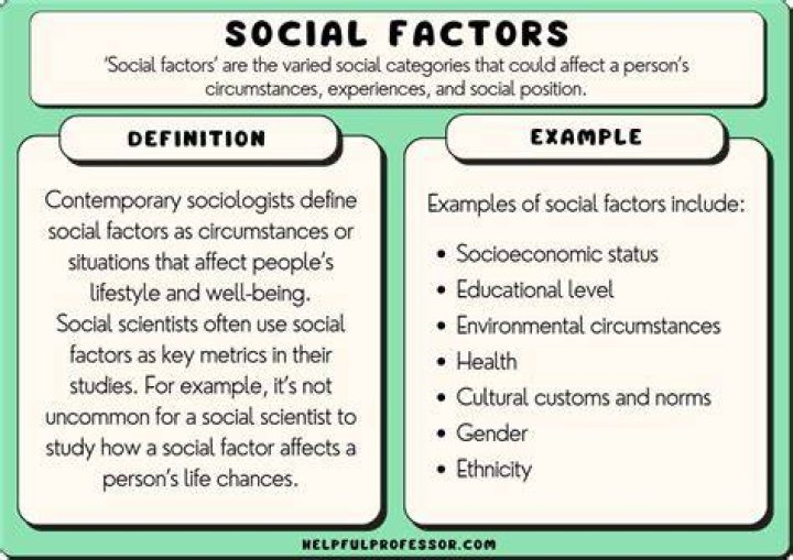 What is the term for a subgroup of individuals or organizations sharing one or more characteristics that cause them to have relatively similar product needs?