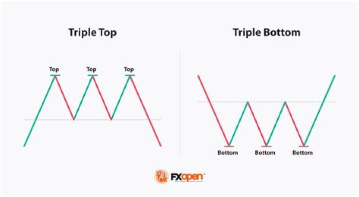What is triple bottom line Mcq?