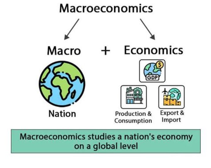 What issues does macroeconomics deal with?