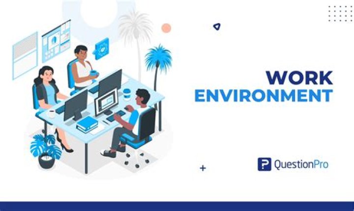 What kind of working environment do you work best in?