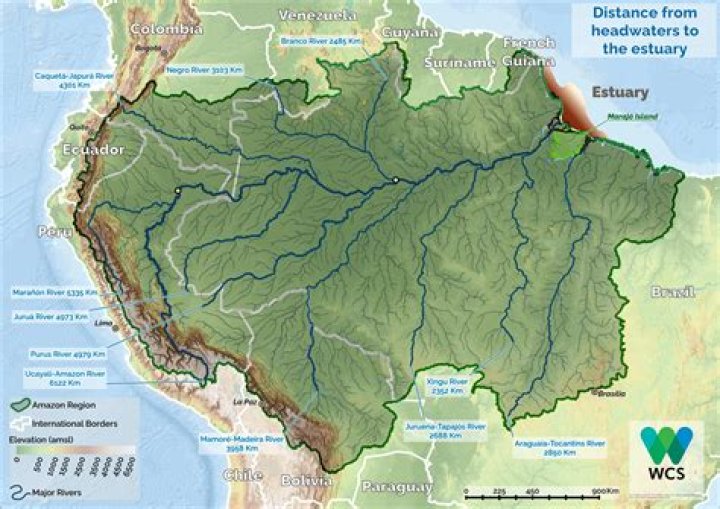 What major landform is west of the Amazon basin?
