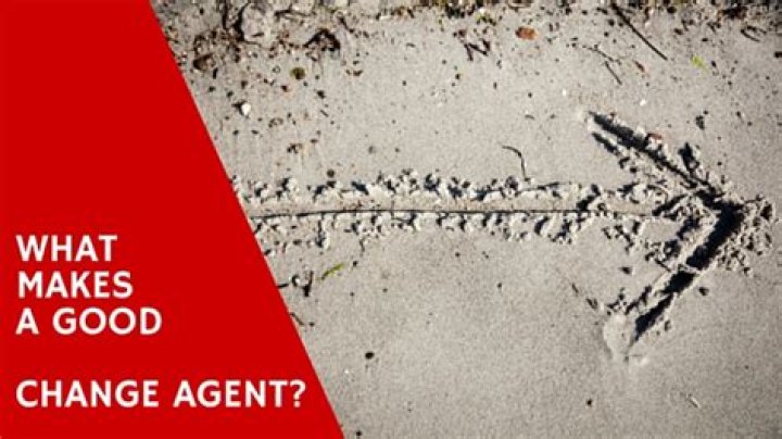 What makes a good change agent?