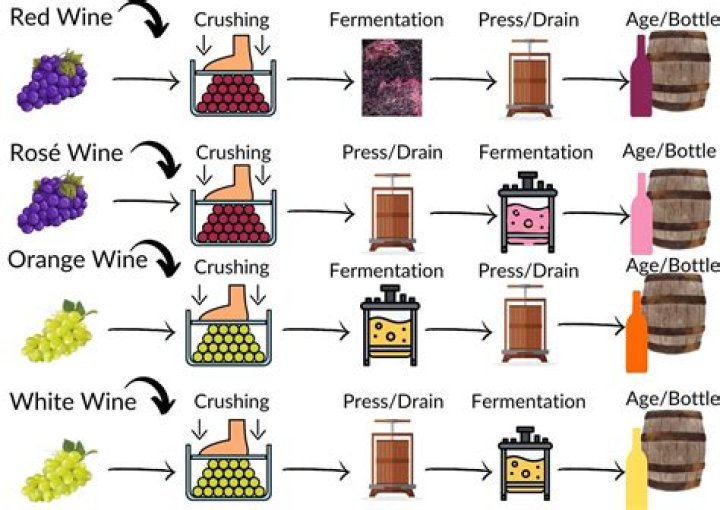What makes a red wine red?