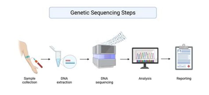 What methods are used for genetic screening?