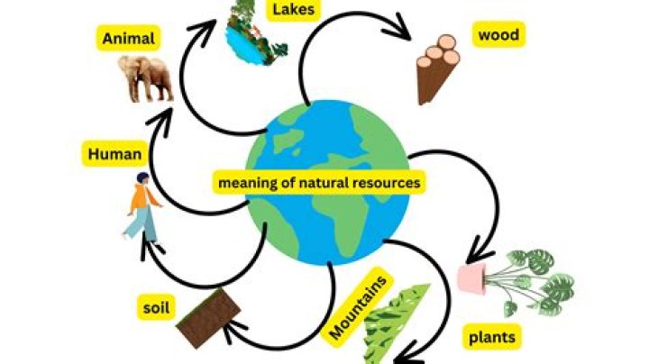 What natural resources does Belize produce?