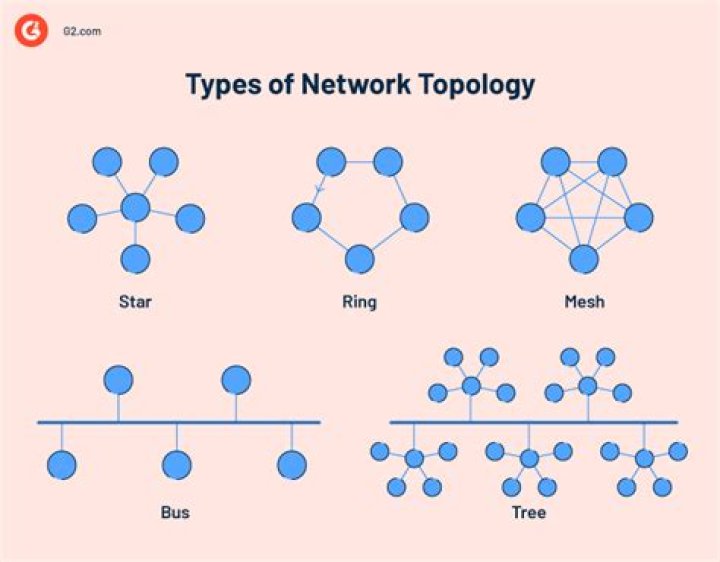 What network type is most suitable for the business?