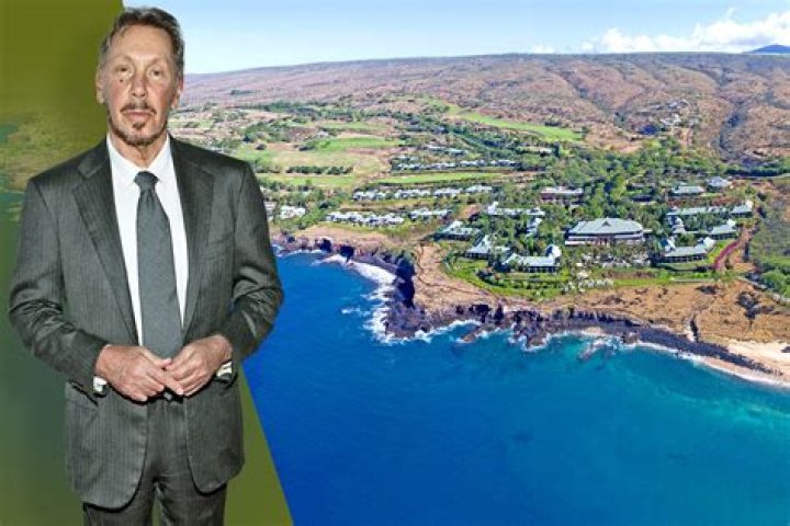 What owns Larry Ellison?