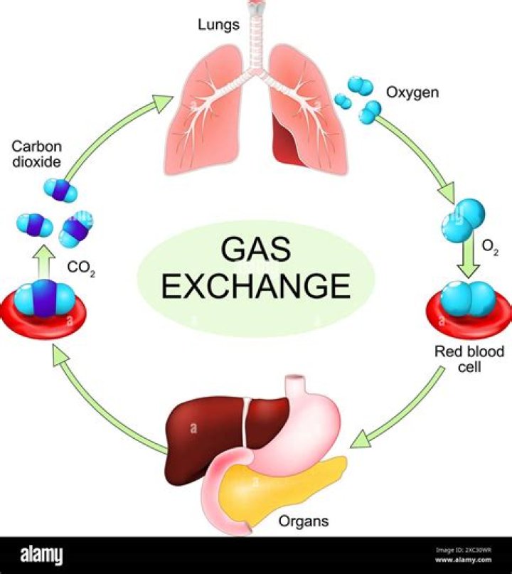 What part of air is oxygen in fraction?
