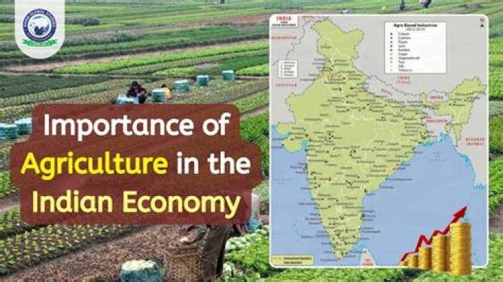 What percentage of agriculture contributes to GDP India?