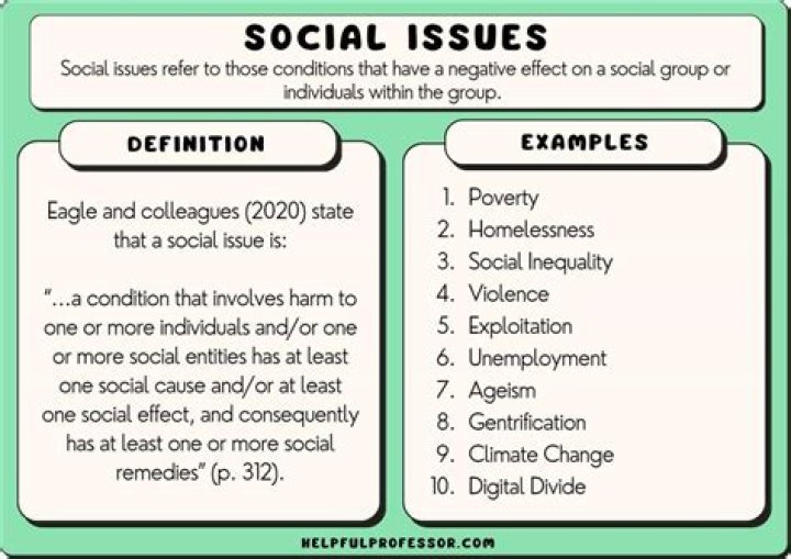 What political issues mean?