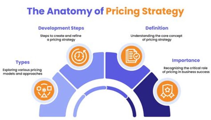 What pricing strategy can you recommend?