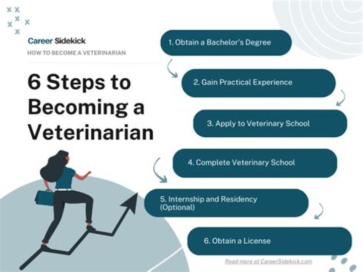 What qualifications do you need to be a vet?