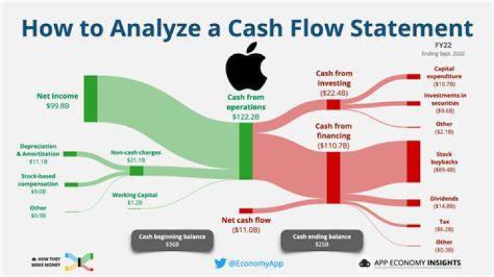What report shows cash flow?