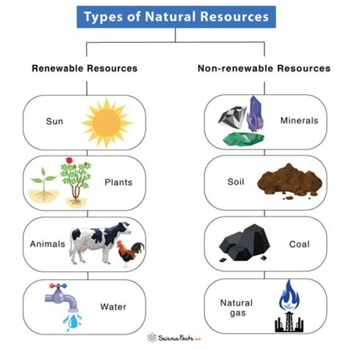 What resources are available in your school?