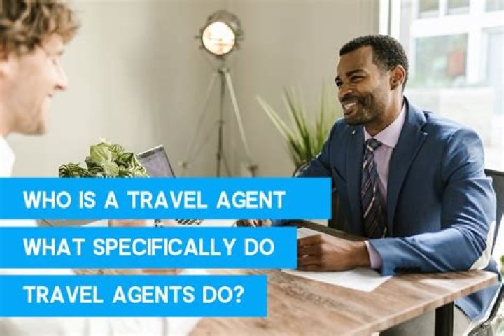What schooling does a travel agent need?