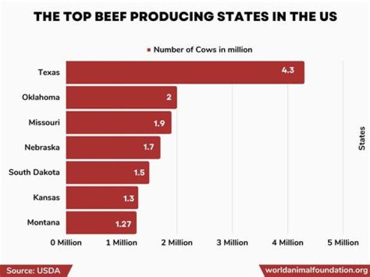What state produces the most?
