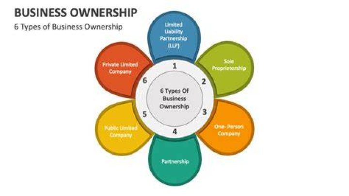 What type of business has 2 owners or ownership?