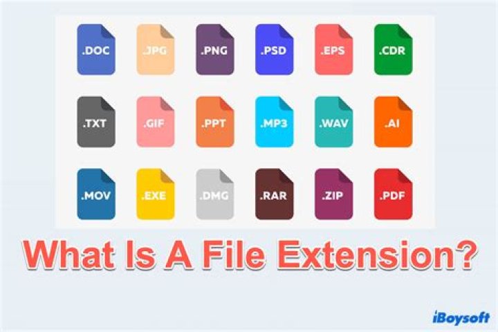 What type of file extension is DOC?