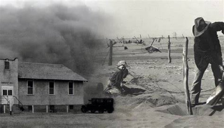 What was done to stop the Dust Bowl?