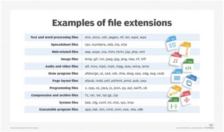 What website extensions are available?